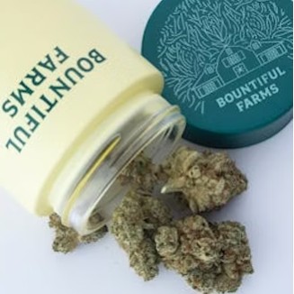 Photograph of product: Bountiful Farms Slap 'N Tickle (H) Flower 3.5g
