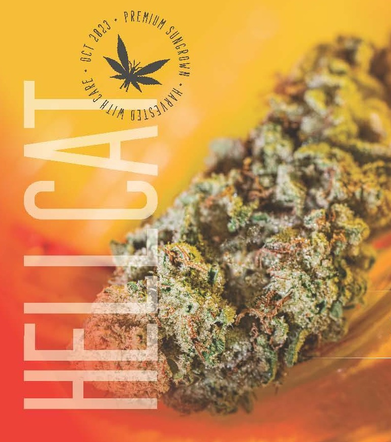 Photograph of product: Hell Cat - 28g