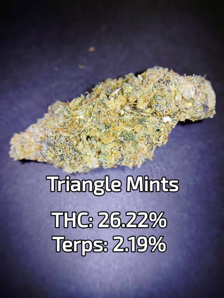 Photograph of Product: Triangle Mints $ /$175oz | Green Monkey/Pharmabis - 1g