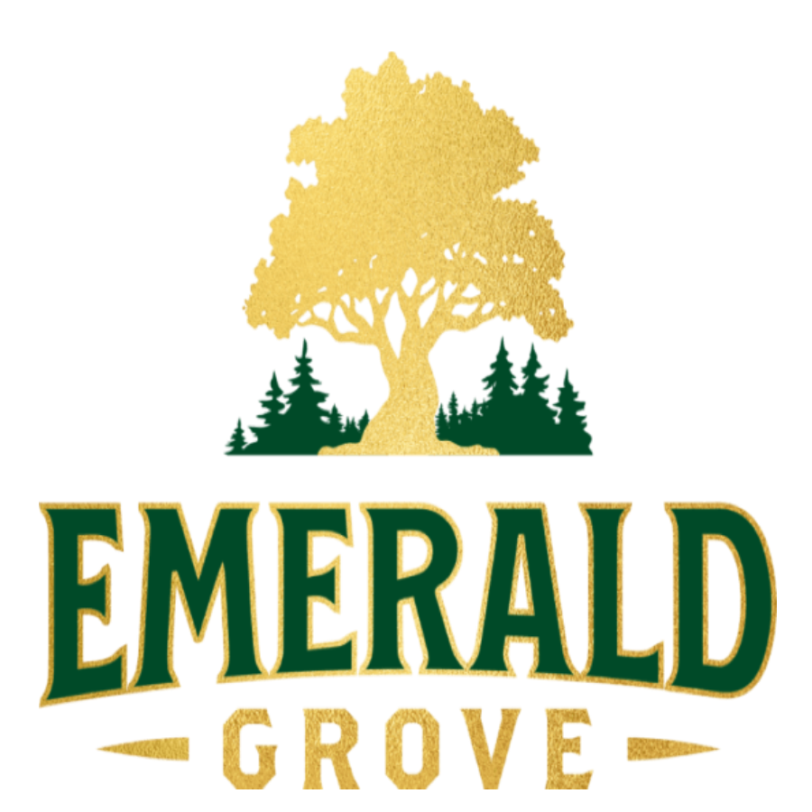 Photograph of product: Hoodie | Black | Unisex |