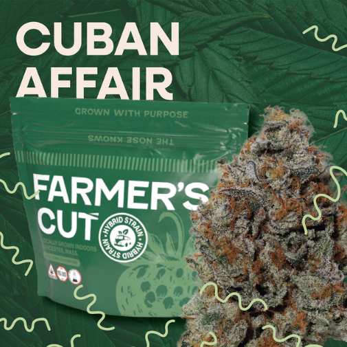 Photograph of product: Cuban Affair Strain | Flower 3.5g - Thrive