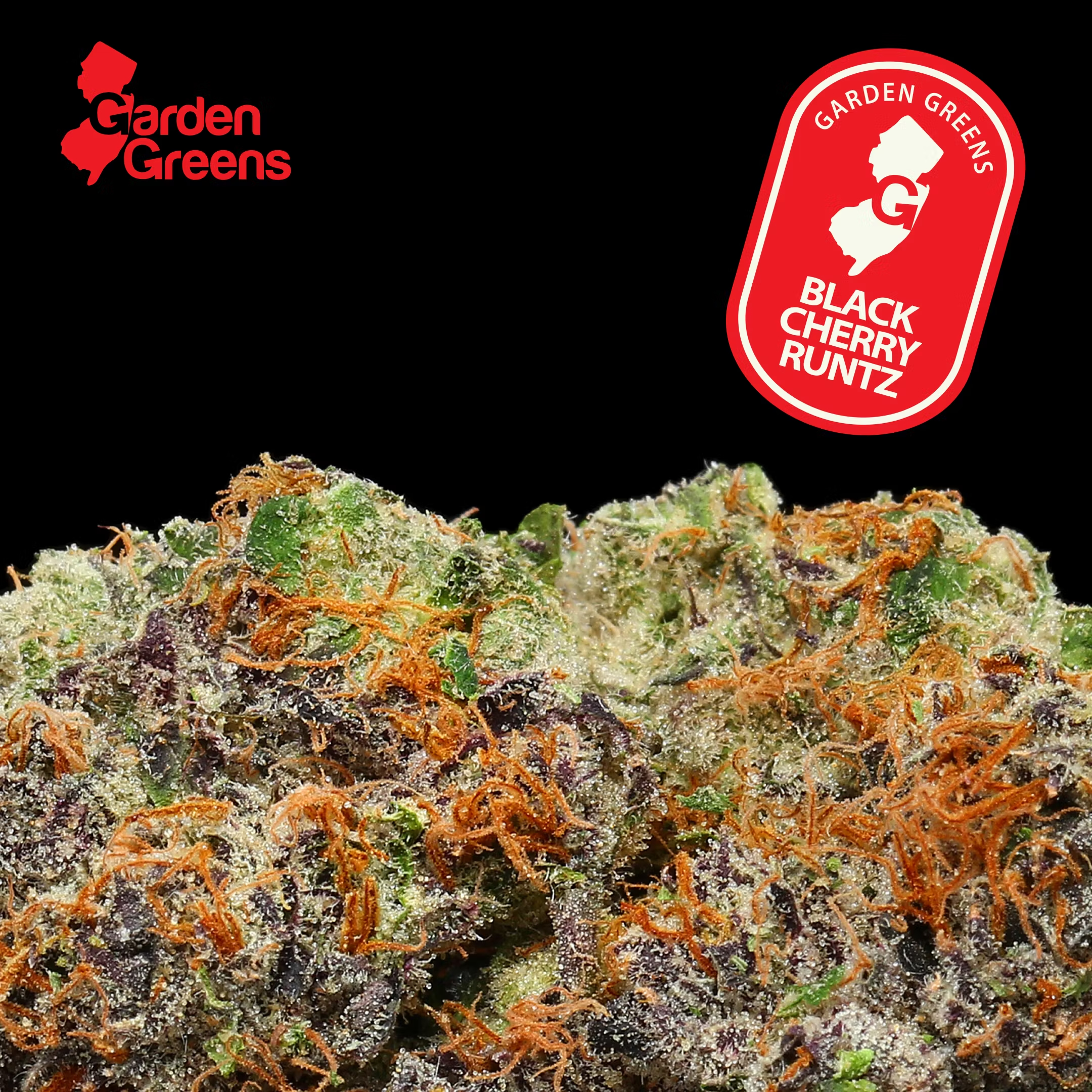 Photograph of product: Black Cherry Runtz | 3.5G