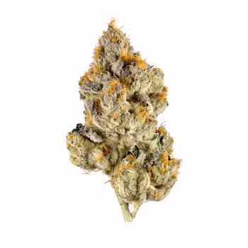 Photograph of product: Jet fuel 14G