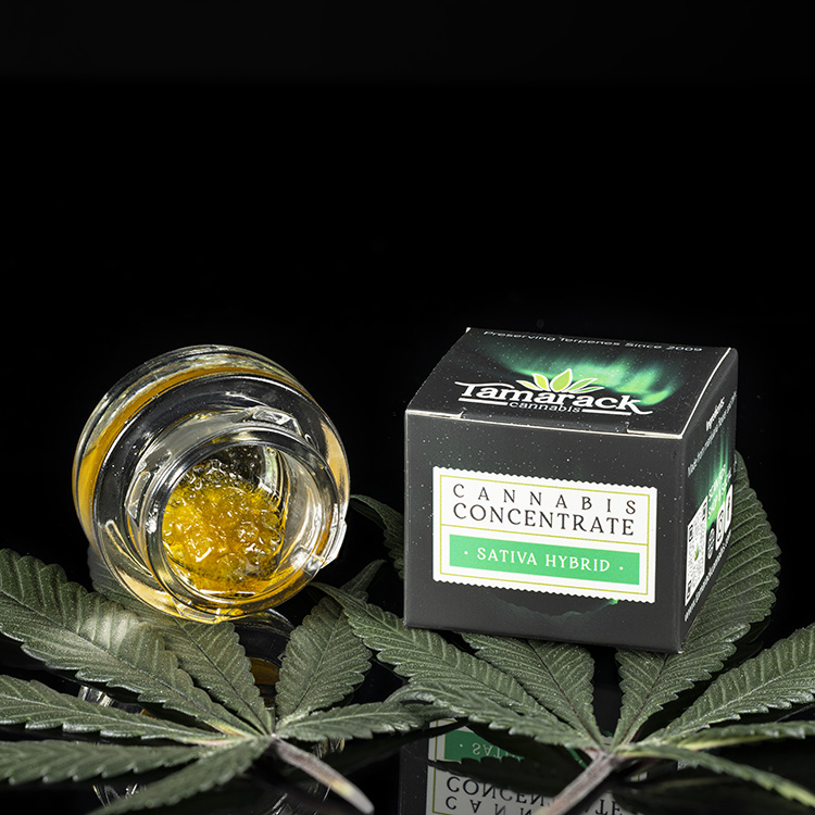 Photograph of product: LIVE DIAMONDS & SAUCE - Zoap