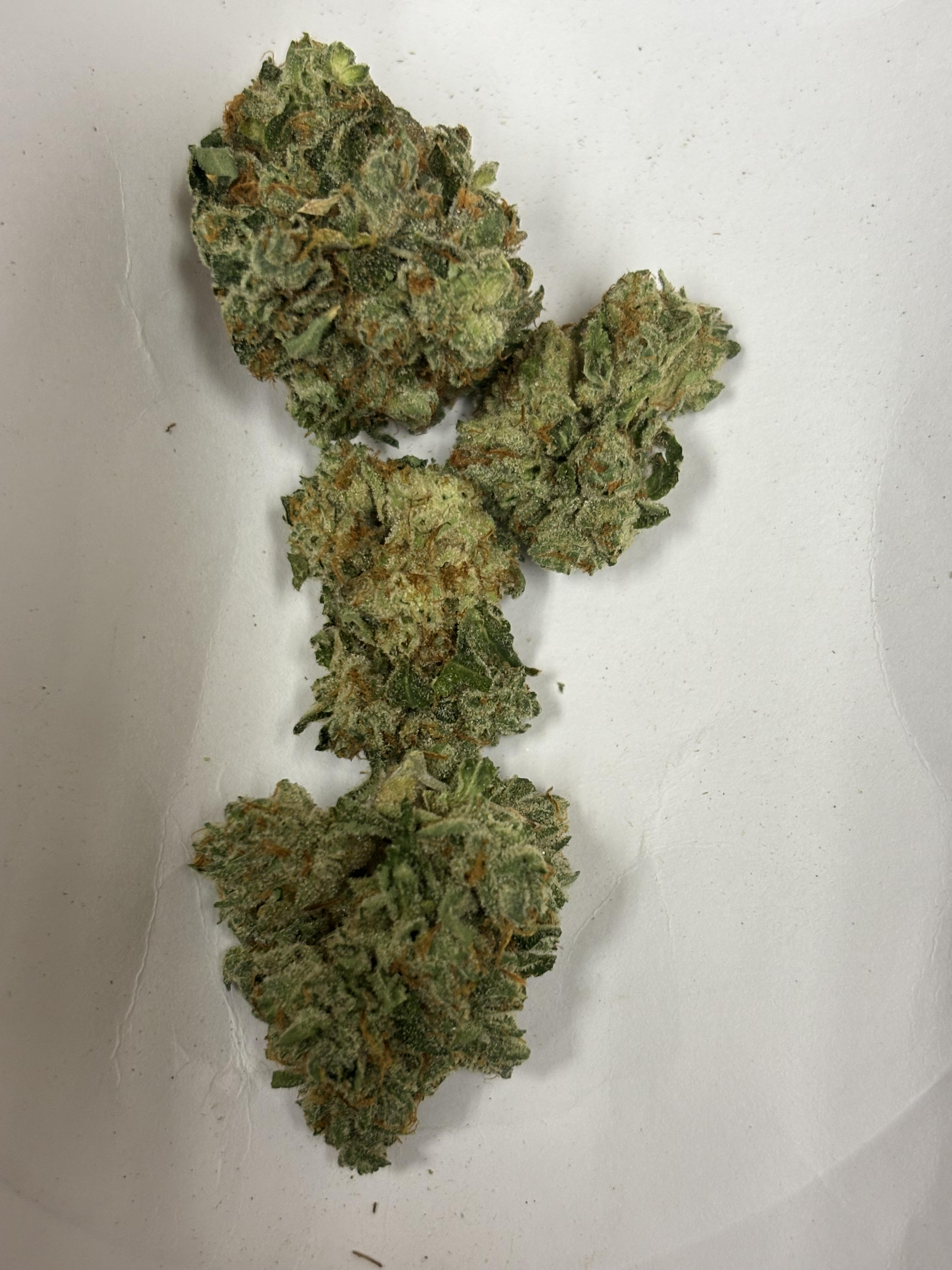 Photograph of product: Michigrown Scotti Doesn't Know - 28g