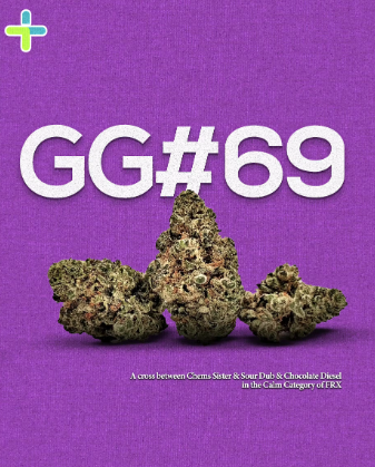 Photograph of product: G.G. #69 | Ground Flower | 14g