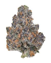 Photograph of product: Apple Tart | Pro Gro | Bulk Flower