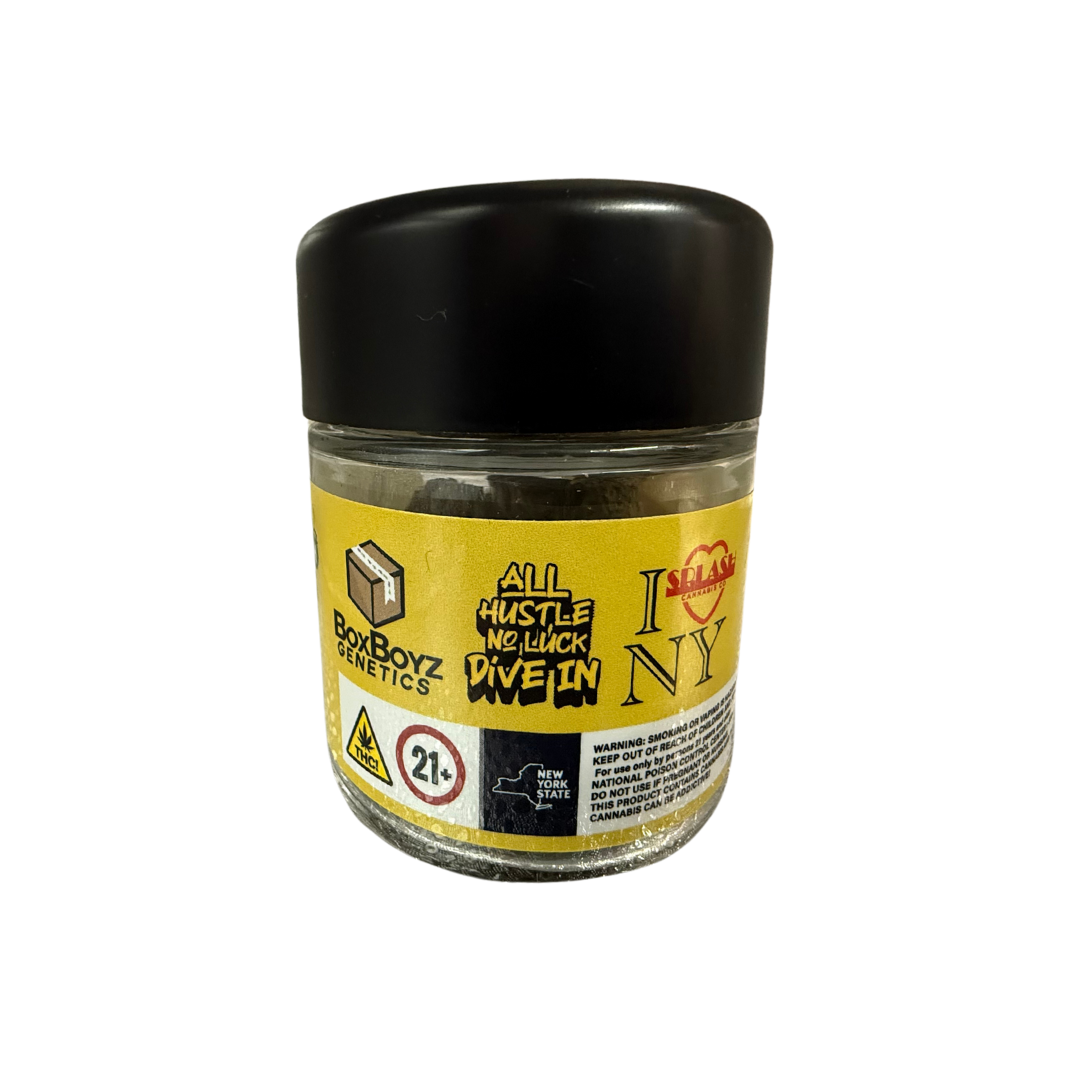 Photograph of product: Splash | 3.5g JAR Flower | AMARETTO