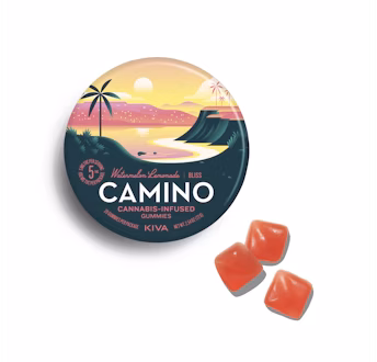 Photograph of product: Watermelon Lemonade | Gummies | 20pk | Camino