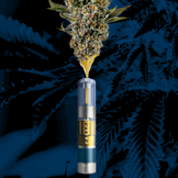 Photograph of product: Live Resin Cherry AK Cartridge 0.5g
