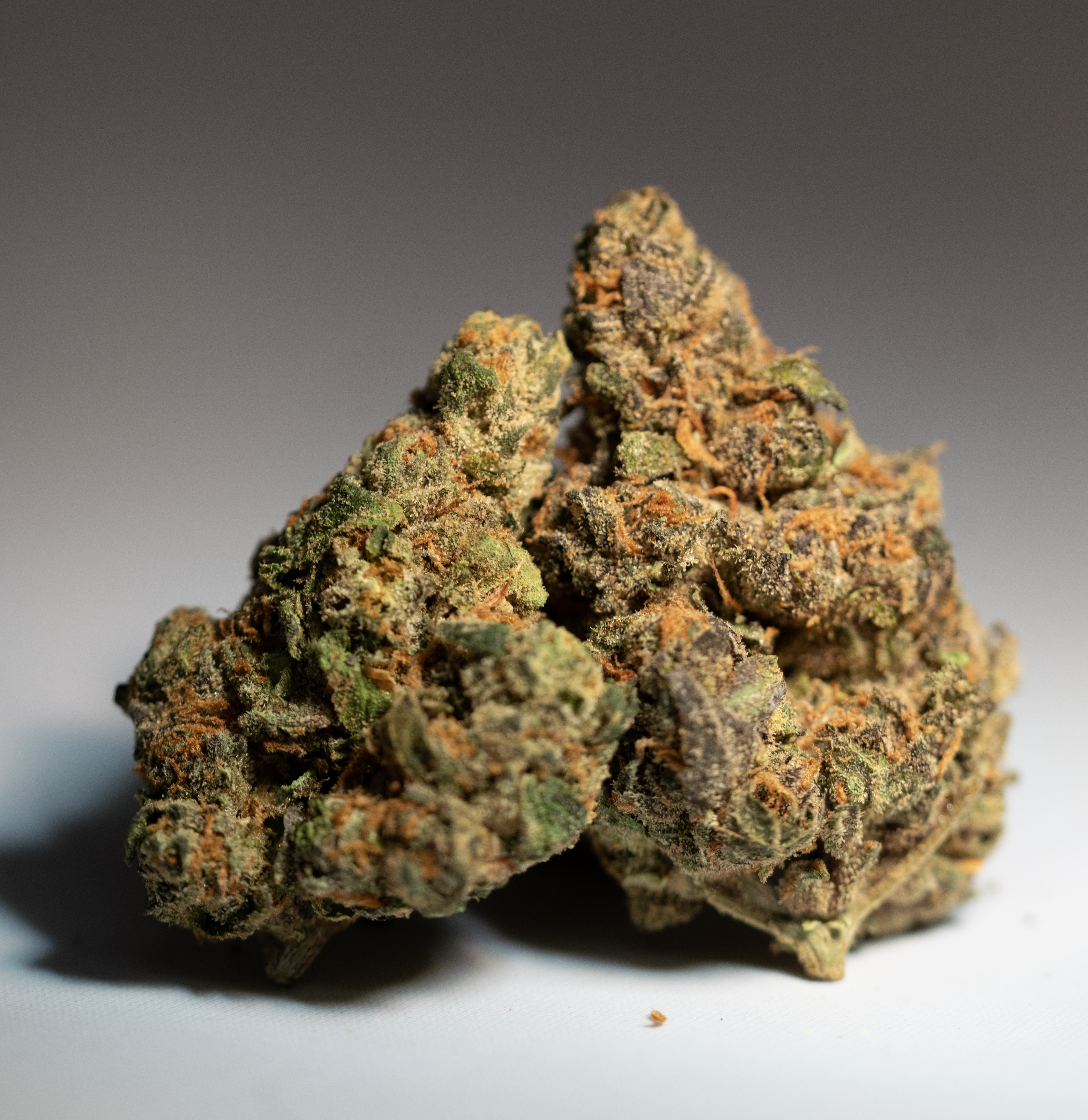 Photograph of product: GOOFIEZ #8 (I) 7G