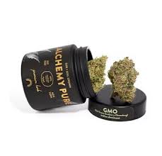 Photograph of product: Alchemy Pure | GMO | 3.5G  Flower Jar
