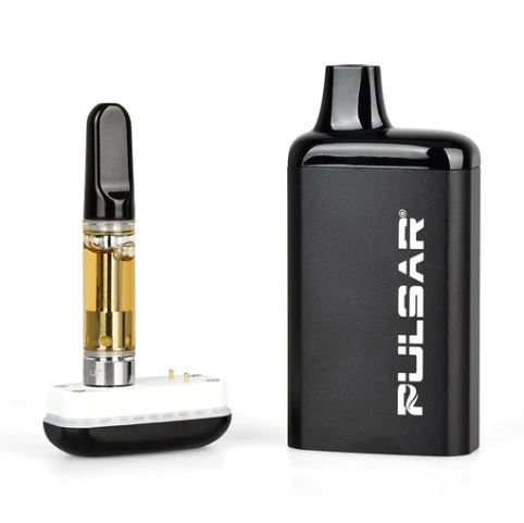 Photograph of product: Pulsar 510 DL Battery