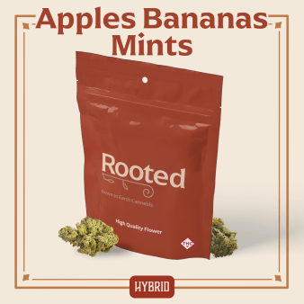 Photograph of product: Apples & Bananas Mints - 3.5g