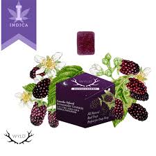 Photograph of product: Boysenberry | 100mg Enhanced Gummies (100mg TH-oui : 100mg CBN : 100mg CBD)