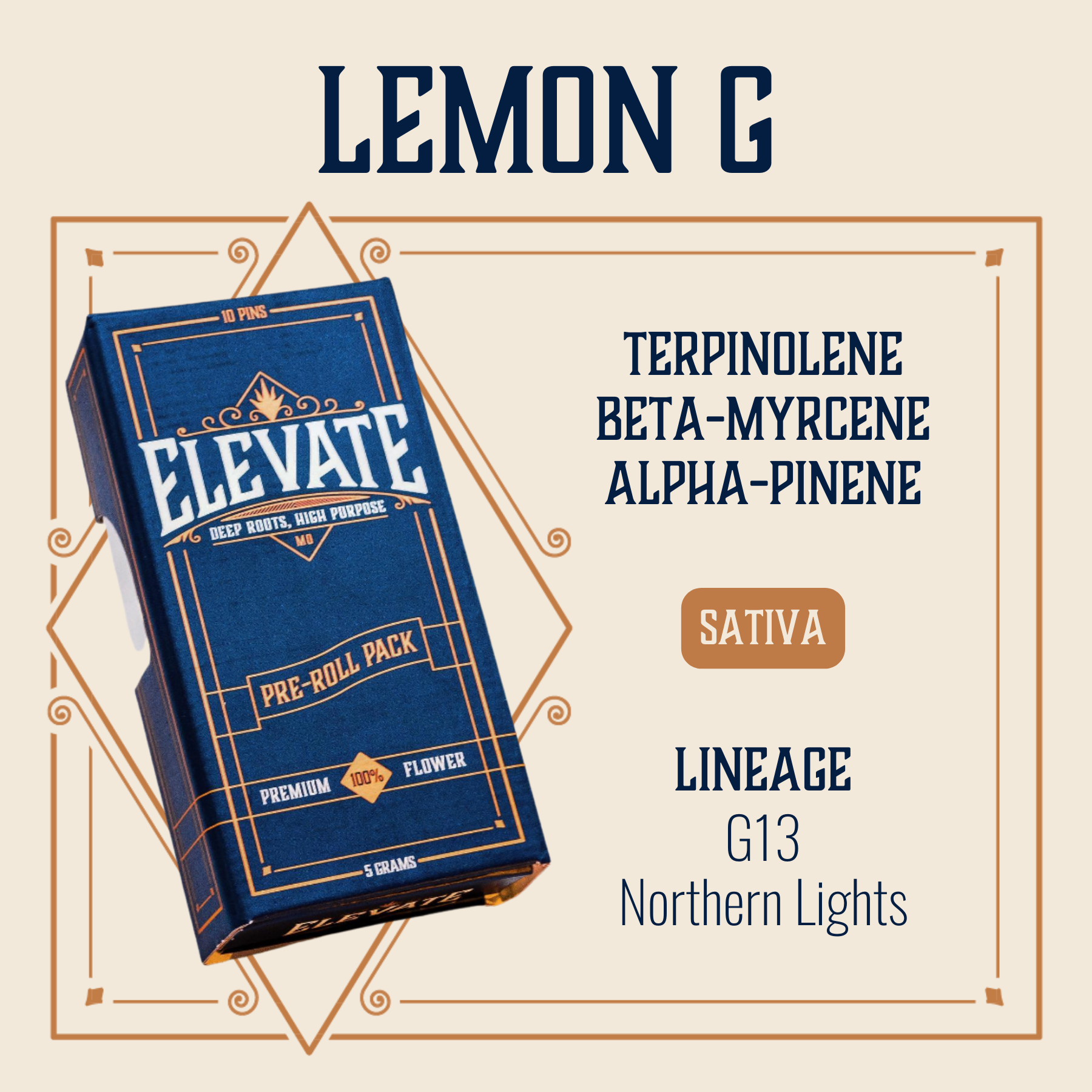 Photograph of product: ELEVATE - PINS - PREROLL - 0.5G - 10PK - LEMON G - 1:1 CBD Oui'd