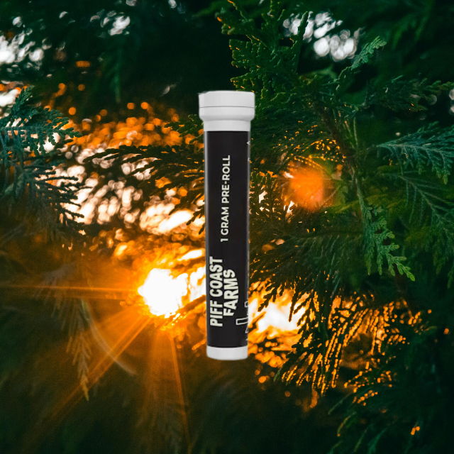 Photograph of product: PREROLL | HOLY COMMUNION X | 1G