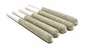 Photograph of product: White Truffle Pre-Roll | .5G, 10 Joint Multi Pack | AVF