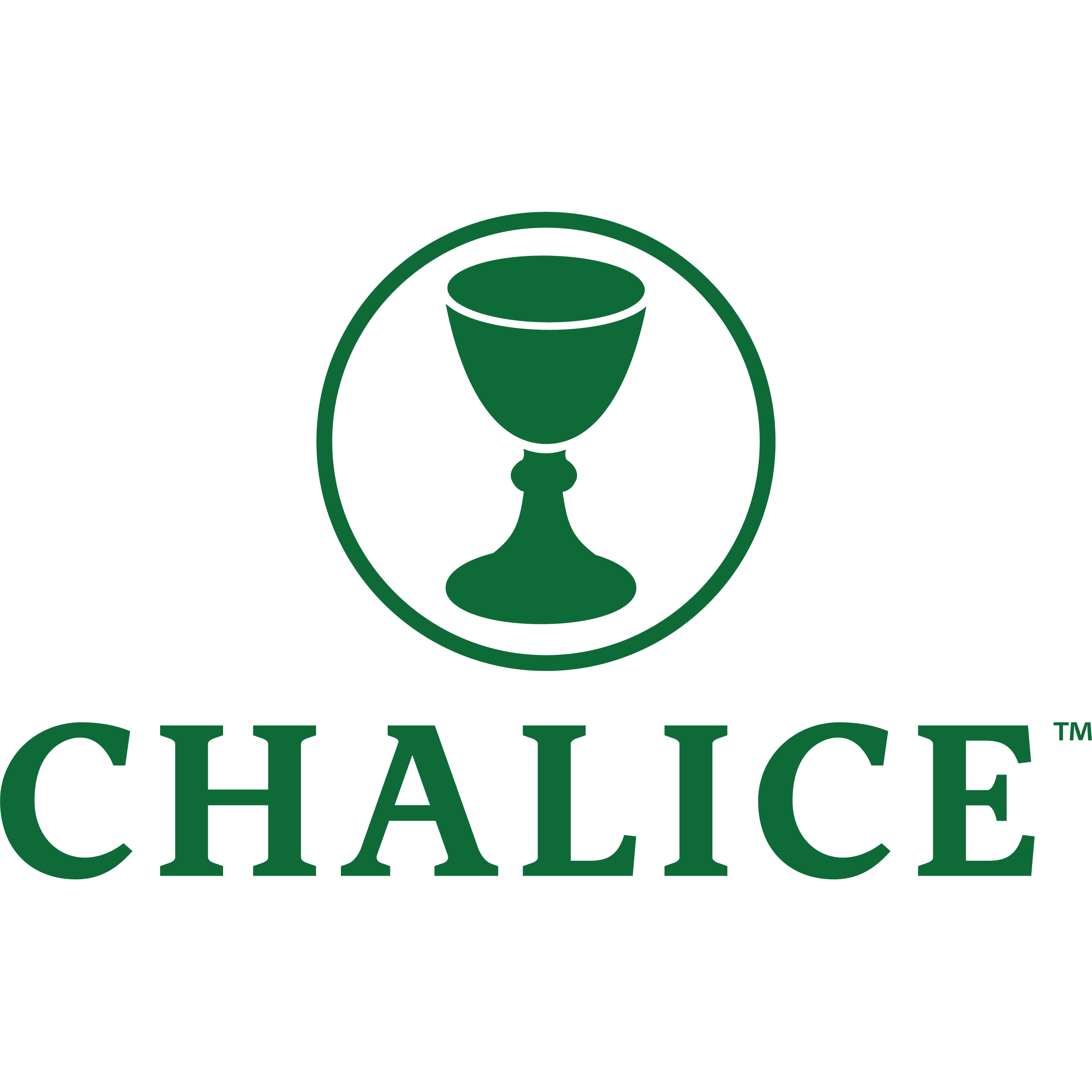 Photograph of Product: Chalice T - Heather Grass Green - XXL