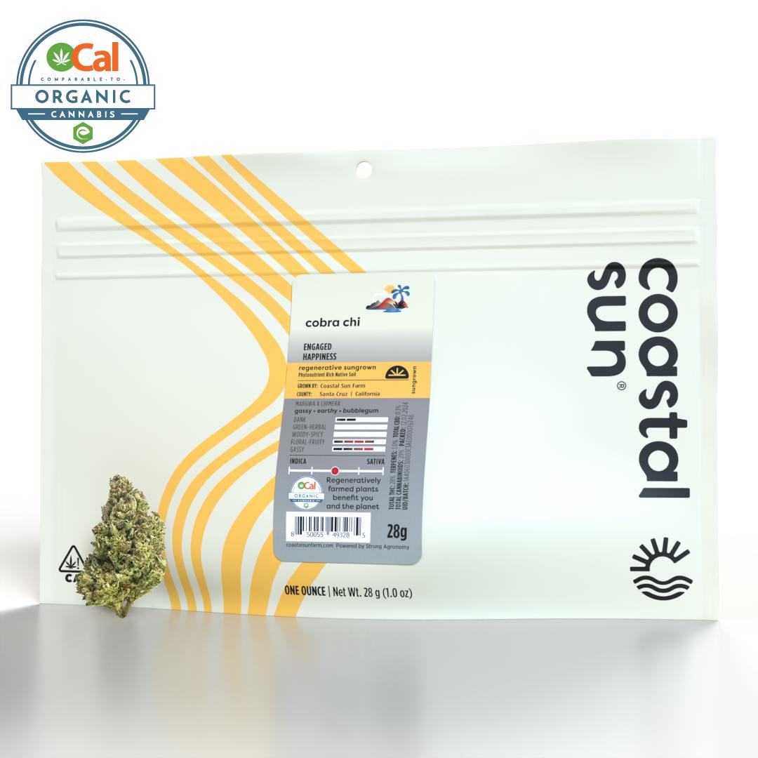 Photograph of product: Coastal Sun | Flower H | Cobra Chi - 28g