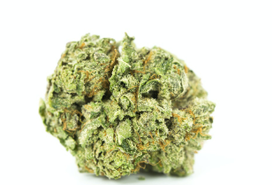 Photograph of product: Gastro Pop | Elysium Cultivation - 1g