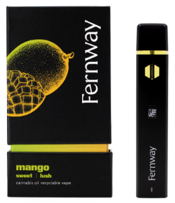 Photograph of product: Vape Disposable | Mango
