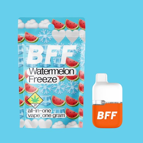 Photograph of product: Watermelon Freeze BFF Disposable | 1g (DOH)