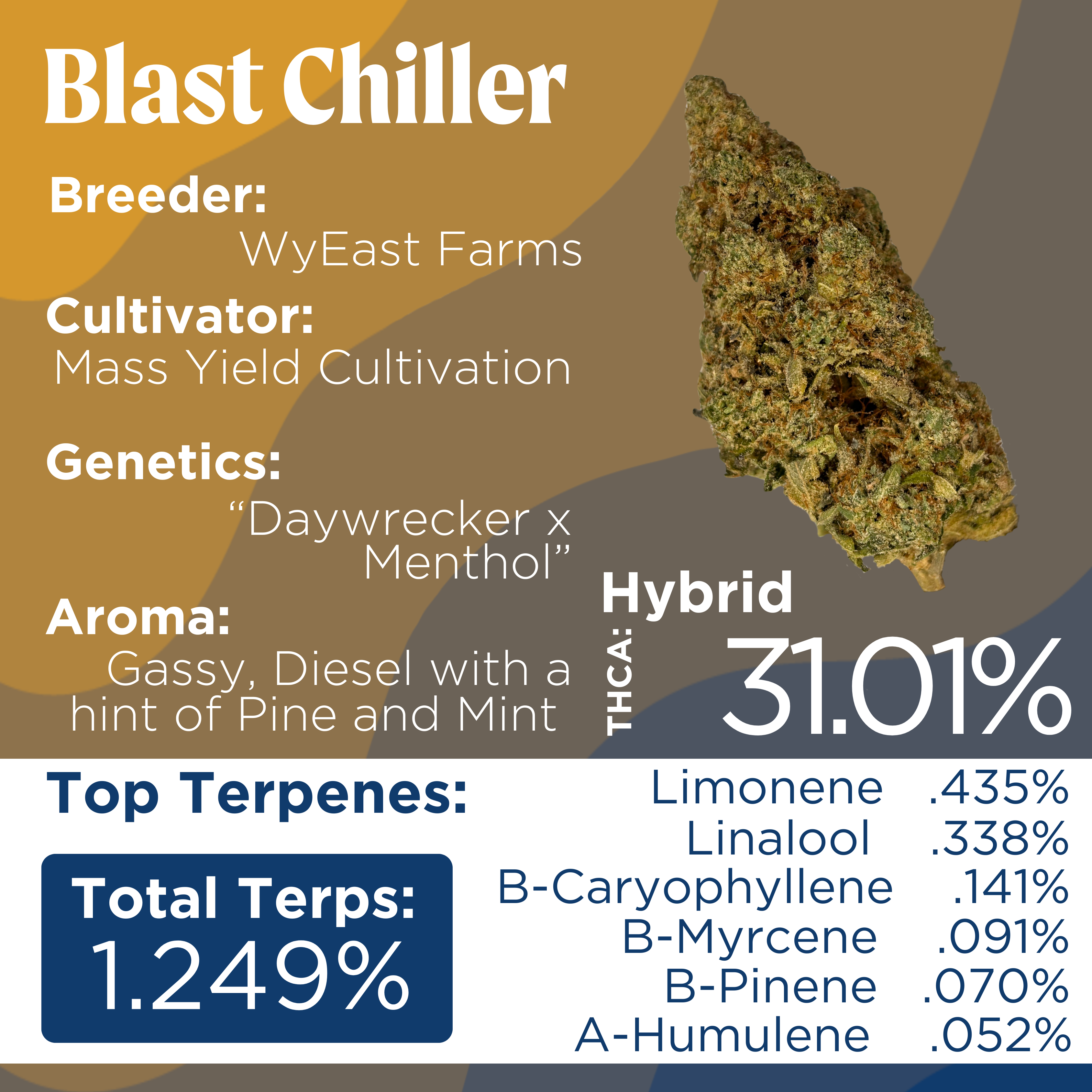 Photograph of product: Deli Style | Blast Chiller - Hybrid - 1g