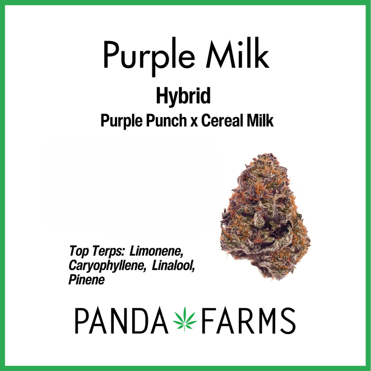 Photograph of product: Purple Milk - 3.5g
