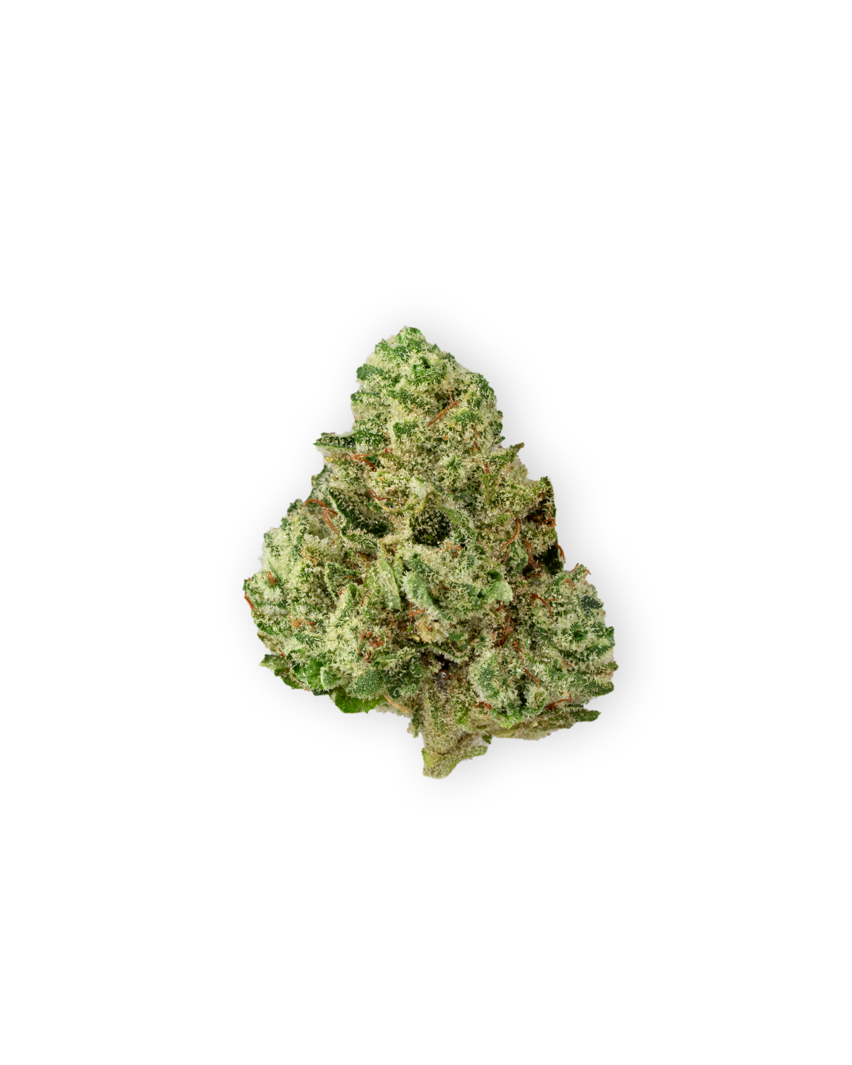 Photograph of product: ANIMAL TSUNAMI | 3.5 g - 3.5g