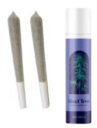 Photograph of product: Kind Tree | Guava Cooler PRJ 2pk - 1g