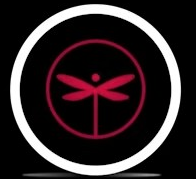 Photograph of product: Apple Fritter | Dragonfly | Infused Pre-roll