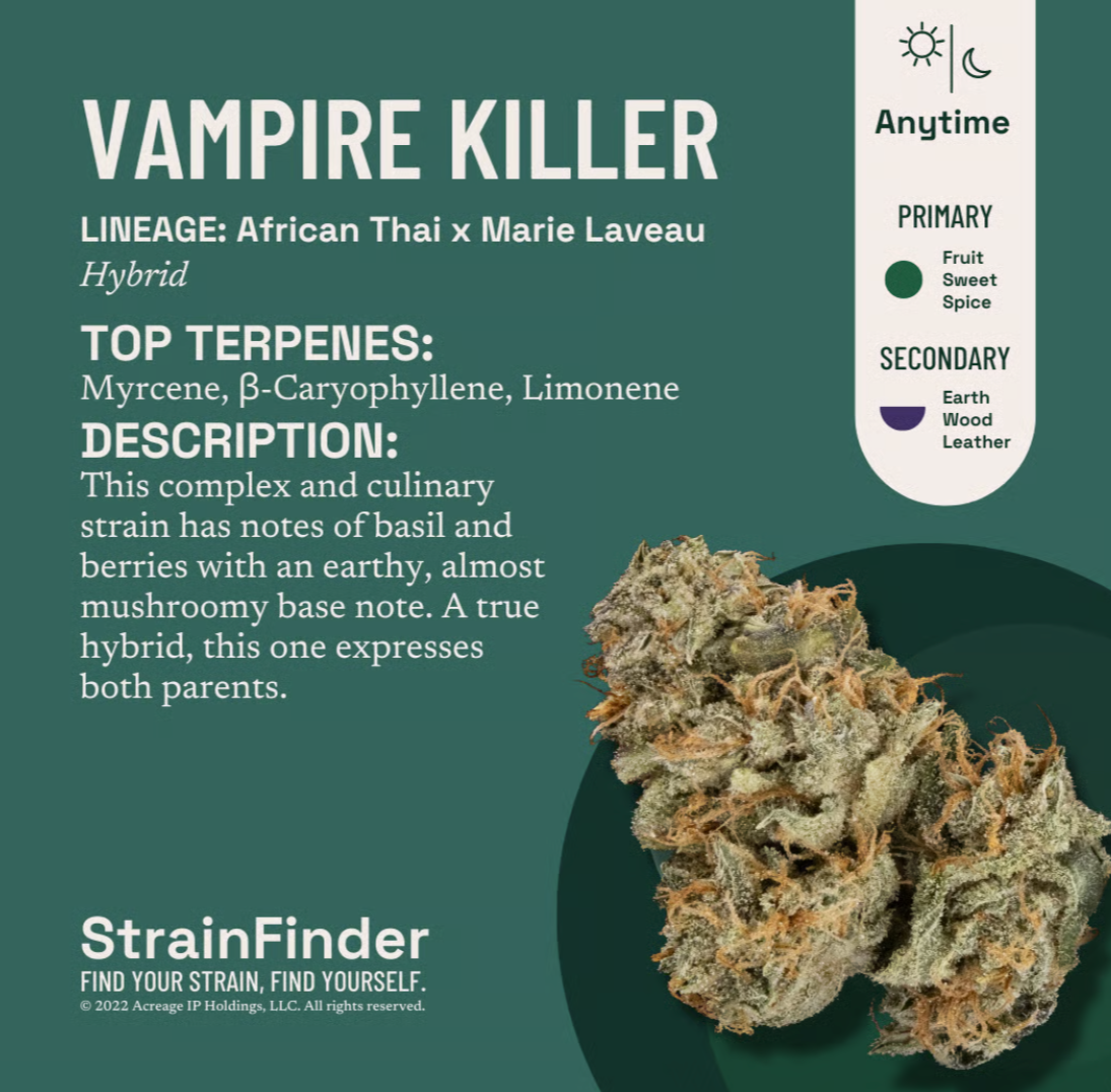 Photograph of product: Vampire Killer Flower - 3.5g