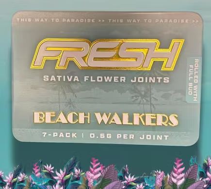 Photograph of product: Bubblegum Pre-rolls 7-pack