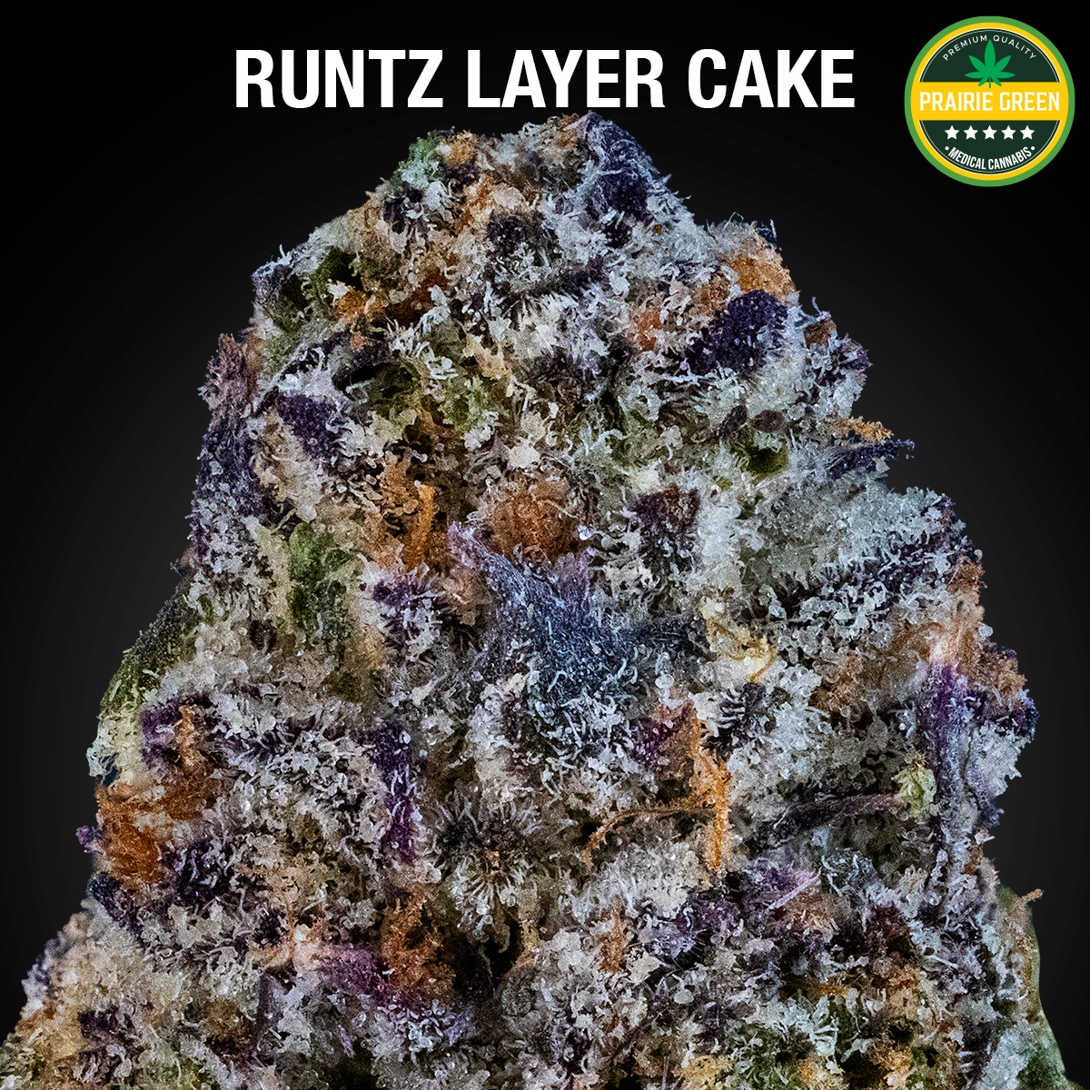 Photograph of product: Runtz x Layer Cake - NBN Flower - 2g