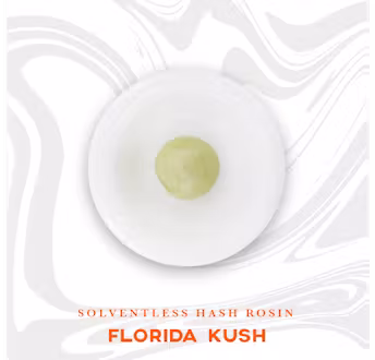 Photograph of product: Vivid Florida Kush Live au chocolat Rosin (1g)
