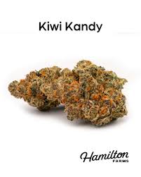 Photograph of product: Hamilton Farms Kiwi Kandy 3.5g