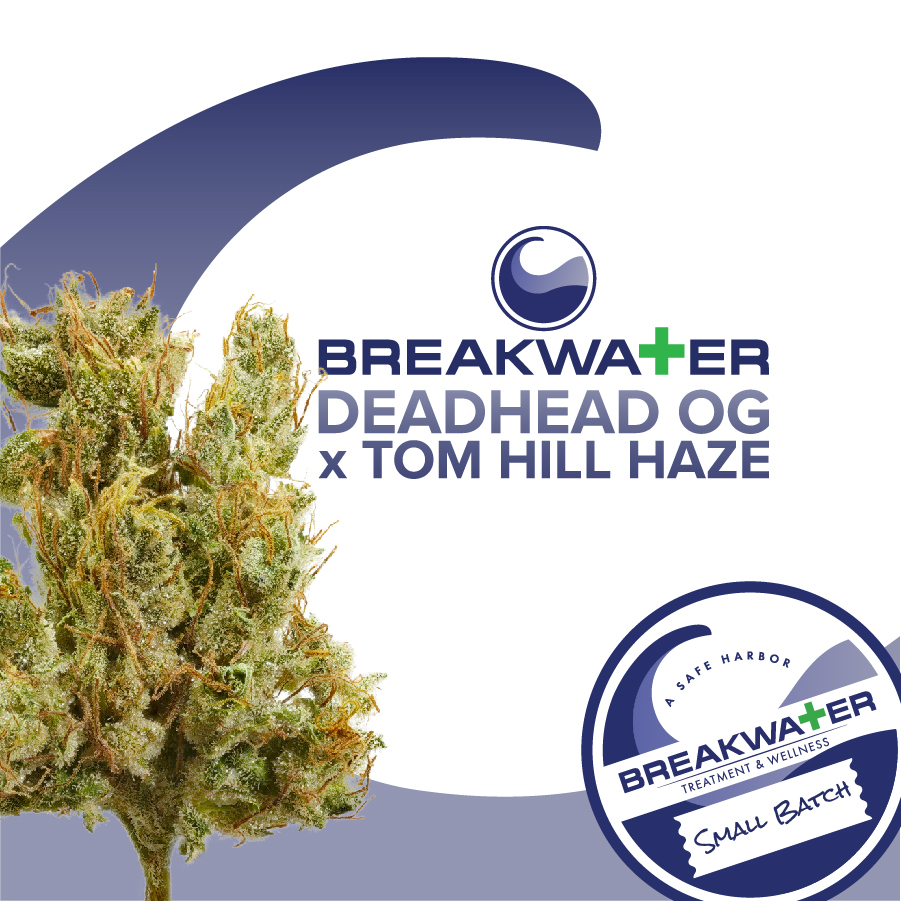 Photograph of product: Breakwater  |  Deadhead OG x Tom Hill Haze  | Flower | Whole Flower - 7g