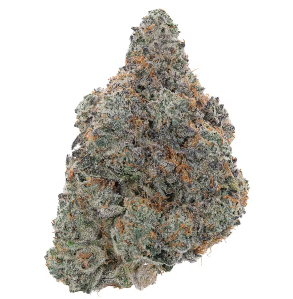 Photograph of product: Lemon Cherry Gelato - Buds - 3.5g
