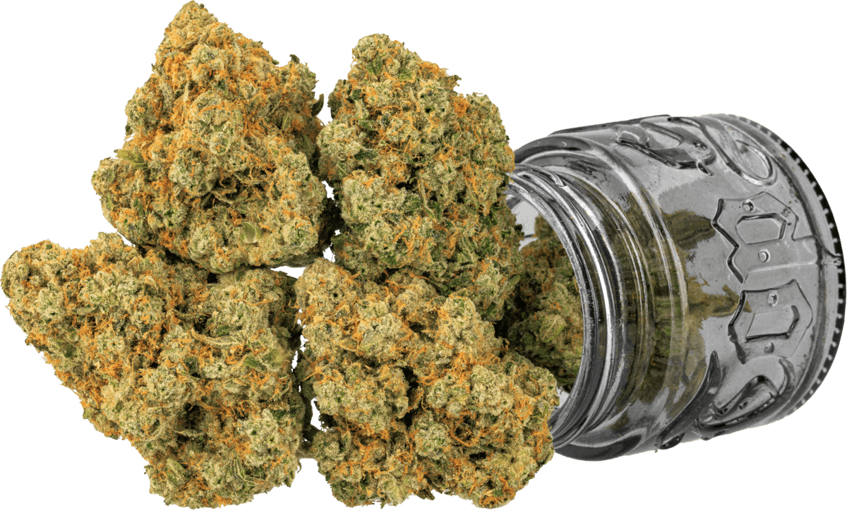 Photograph of product: Top Shelf Cult - Sour Headband - 3.5g