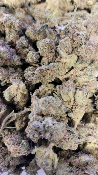 Photograph of product: B Bud Pink Guava (MSB)