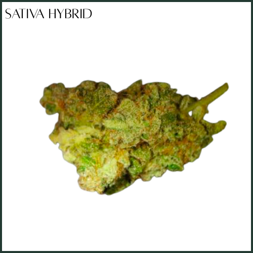 Photograph of product: Molecular Farms | Chem #28 | Flower - 3.5g