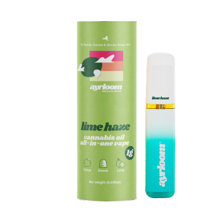 Photograph of product: Lime Haze | All-in-One