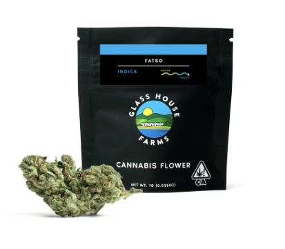 Photograph of product: Fatso 1g