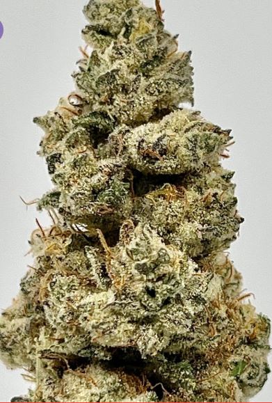Photograph of product: S Iron Lung Orange Crush - 3.5g