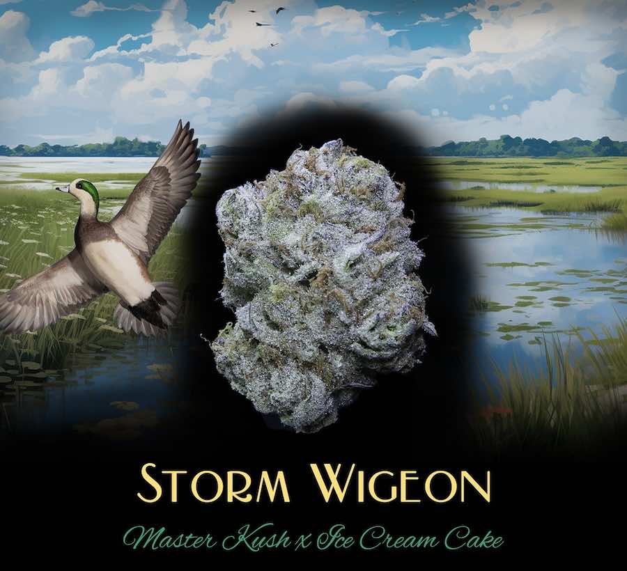 Photograph of product: Deaux - Storm Wigeon - Flower - - 3.5g