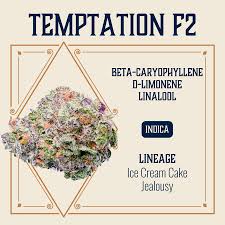 Photograph of product: Elevate | Temptation F2 3.5g
