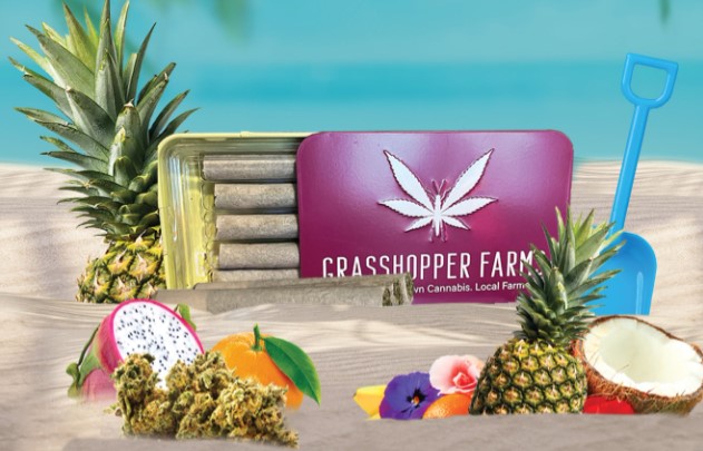 Photograph of product: Grasshopper Farms | Strawberry Sunrise | 5 x Infused Pre-Roll Tin