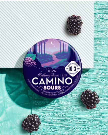 Photograph of product: Camino | Sours Blackberry Dream 1:1:1 | 100mg