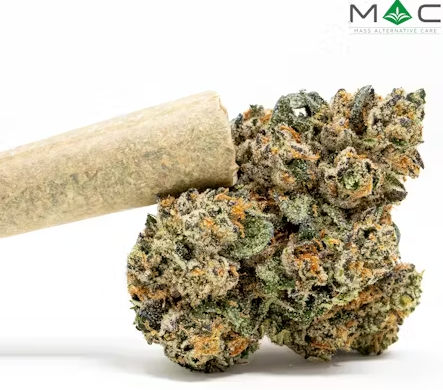 Photograph of product: Pre-Roll | Cartoons & Cereal | 1g